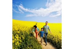 Image Image